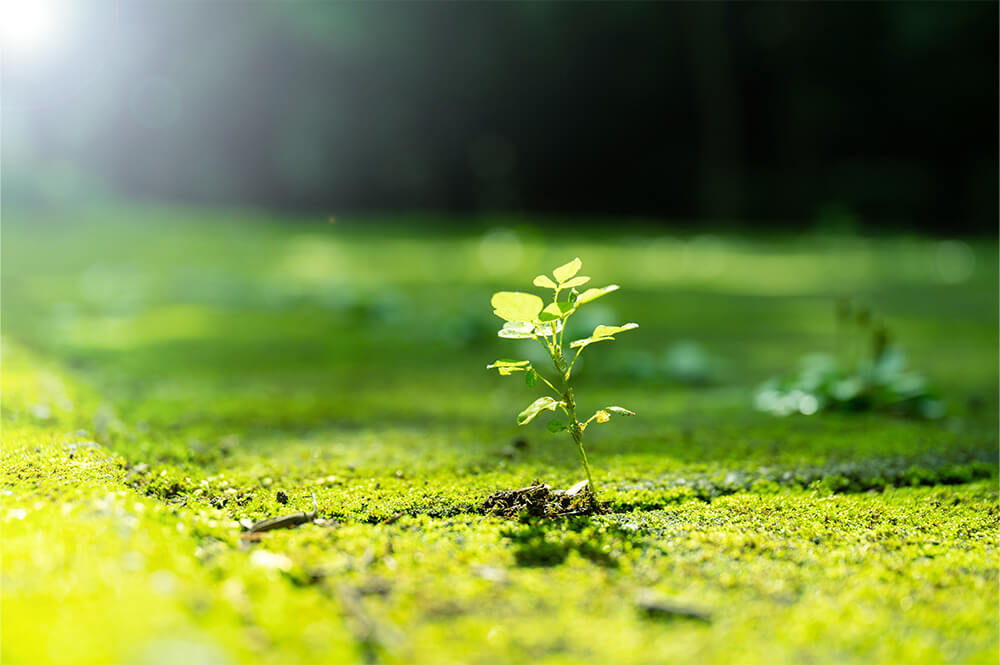 環境への取り組み