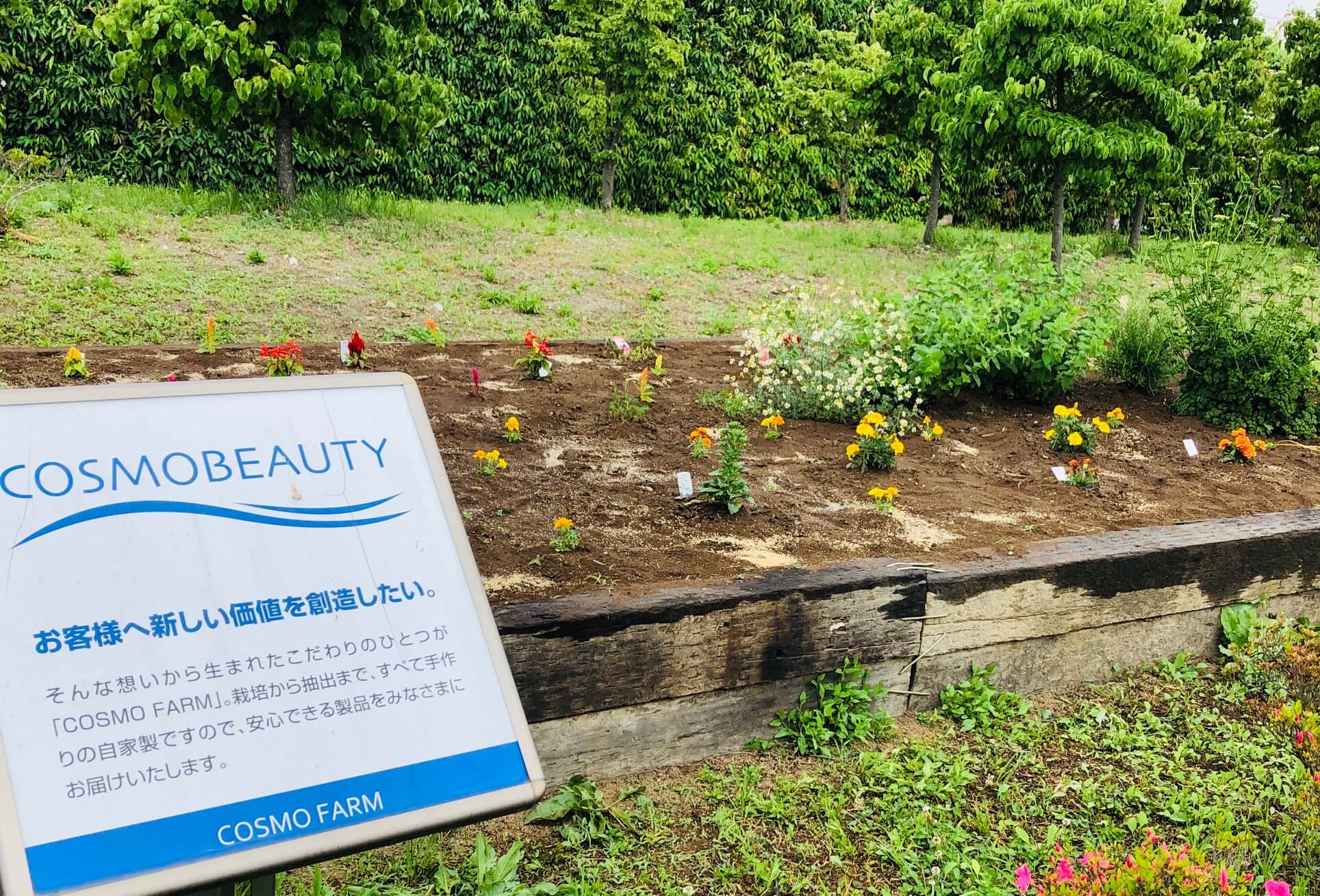 産学連携・独自技術の開発