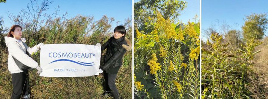 地域環境貢献への取り組み