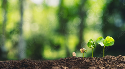 環境への取り組み